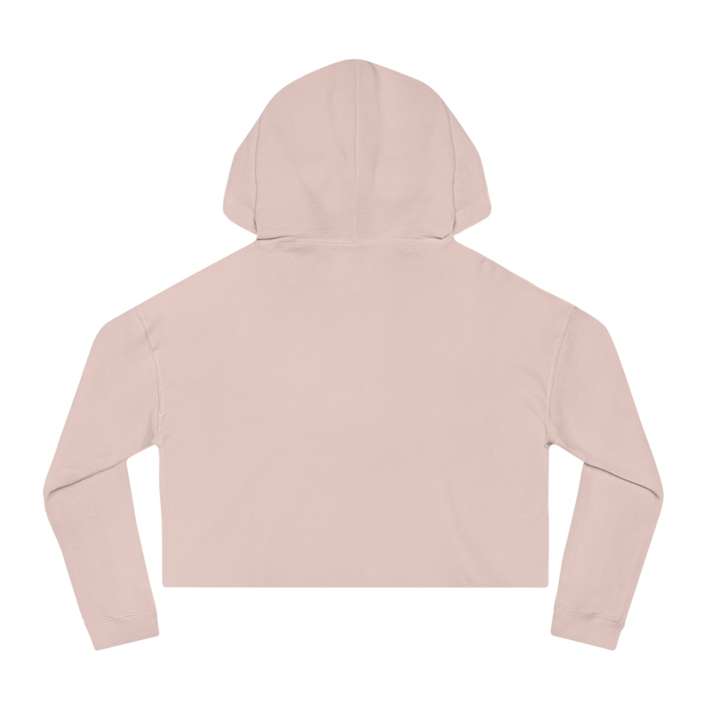 "Flight Risk" Cropped Hooded Sweatshirt