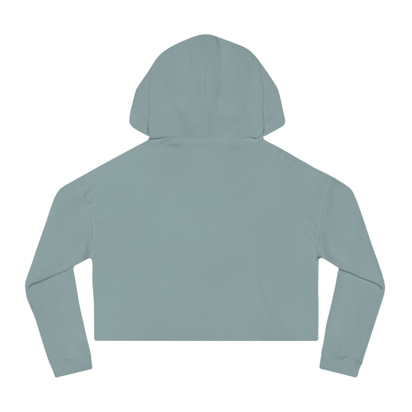 "Flight Risk" Cropped Hooded Sweatshirt