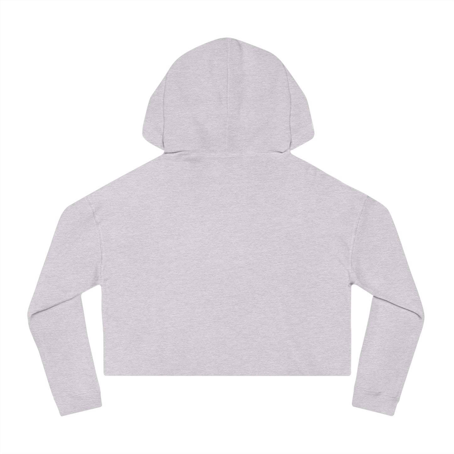 "Flight Risk" Cropped Hooded Sweatshirt
